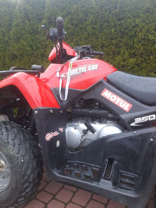 Quad Arctic cat 250 bliźniaczy model kymco mxu