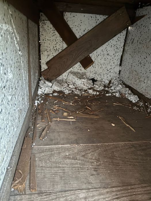 Ocieplona buda dla psa