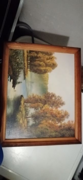 Obraz jezioro i drzewa