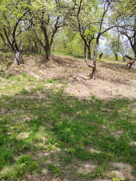 Продаж земельної ділянки в селі Вербовець.
