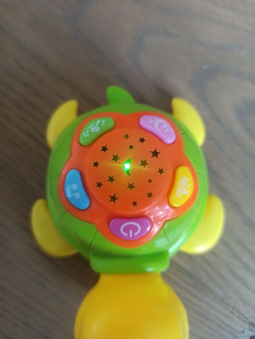 Grający i świecący żółw