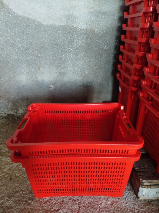 Caixas de plástico agricultura