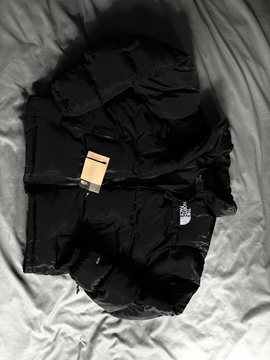 Kurtka the north face