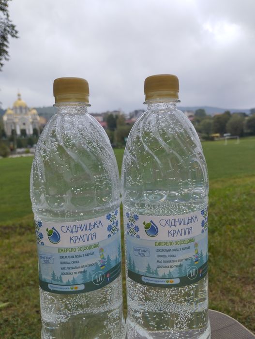 Содова мінеральна лікувальна вода 2с Східницькі джерела