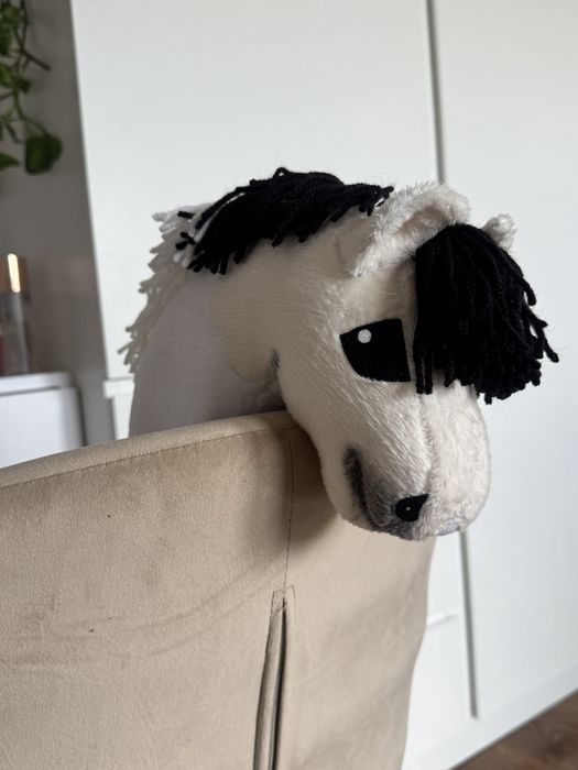 Kucyk hobby horse