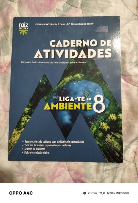 Cadernos de atividades 8 ano