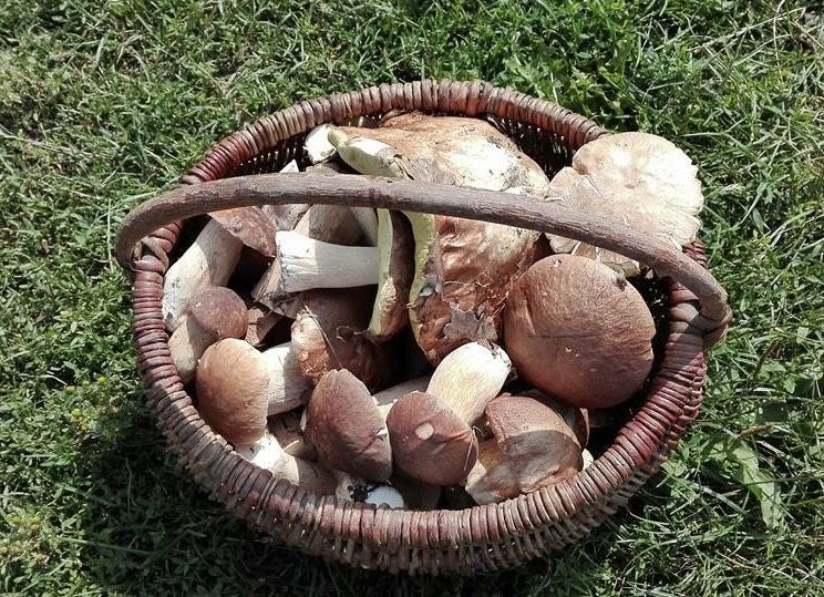 Kosze wiklinowe koszyki rękodzieło 35x40cm