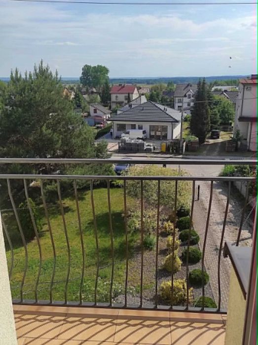 Zdjęcie 8