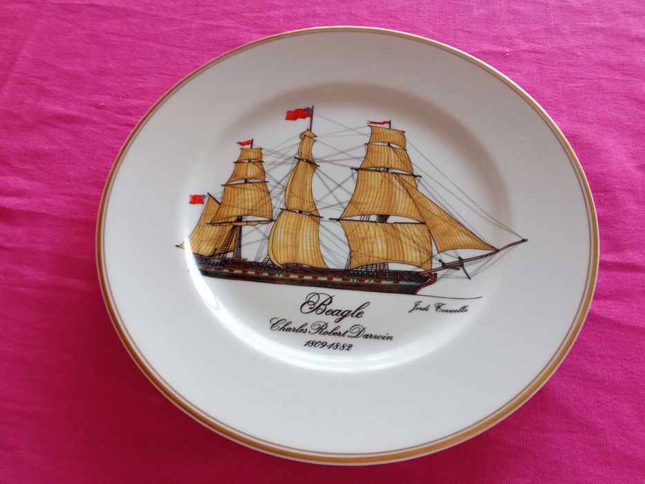 11 Pratos decorativos de porcelana