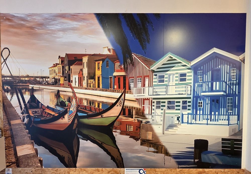 Quadro decorativo grande – Aveiro / Moliceiros e Casas Costa