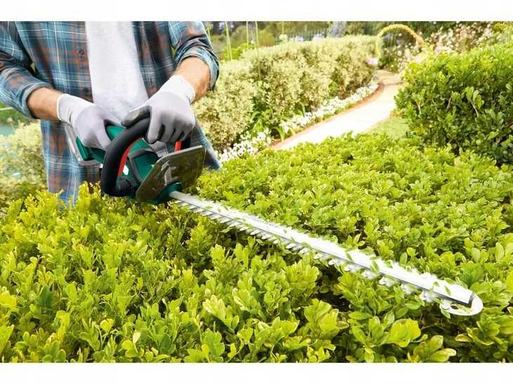 Akumulatorowe nożyce do żywopłotu , 20 V, PTHSA