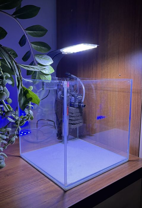 Akwarium „kostka”