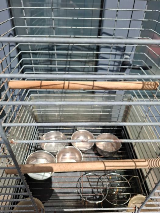 Gaiola para passaros