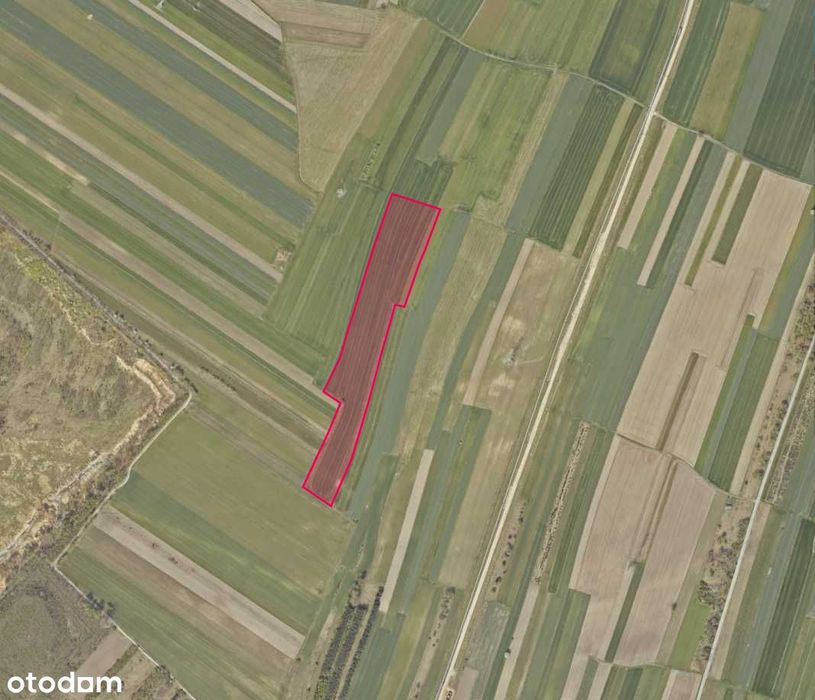 grunty rolne 9,56ha Pajęczno przy Niwiskach Górnych