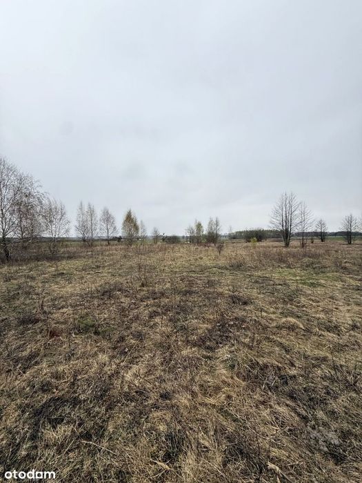 Działka budowlana 3000 m²  w spokojnej wsi Budy Ciepielińskie – další