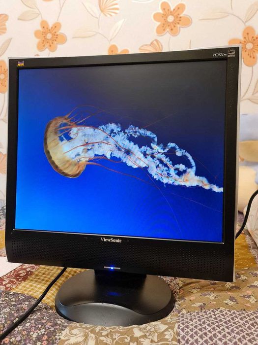 Монитор ViewSonic VG921m