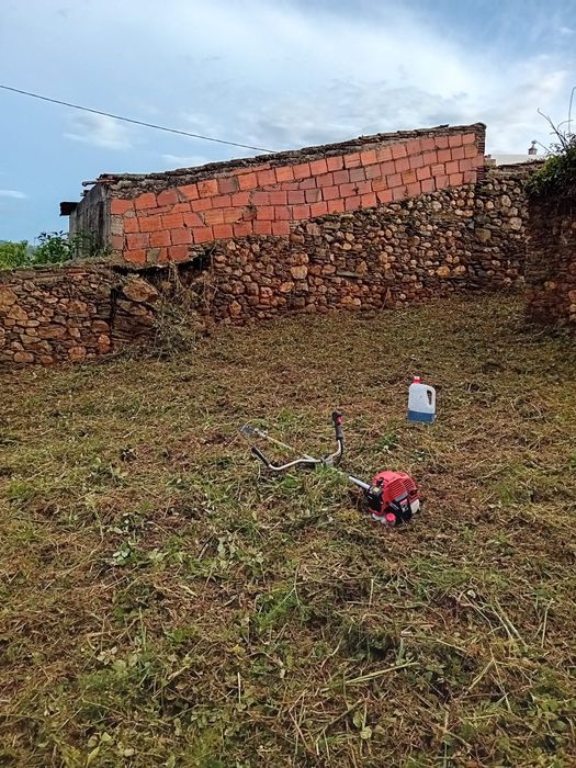 Limpezas de terrenos e podas de árvores