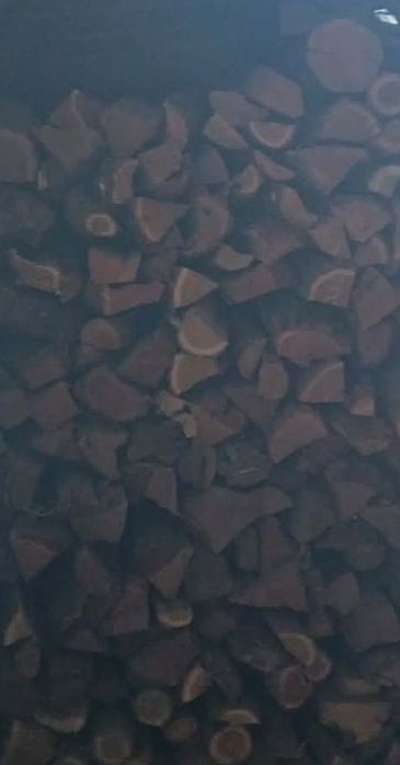 Sprzedam akacje podziabana