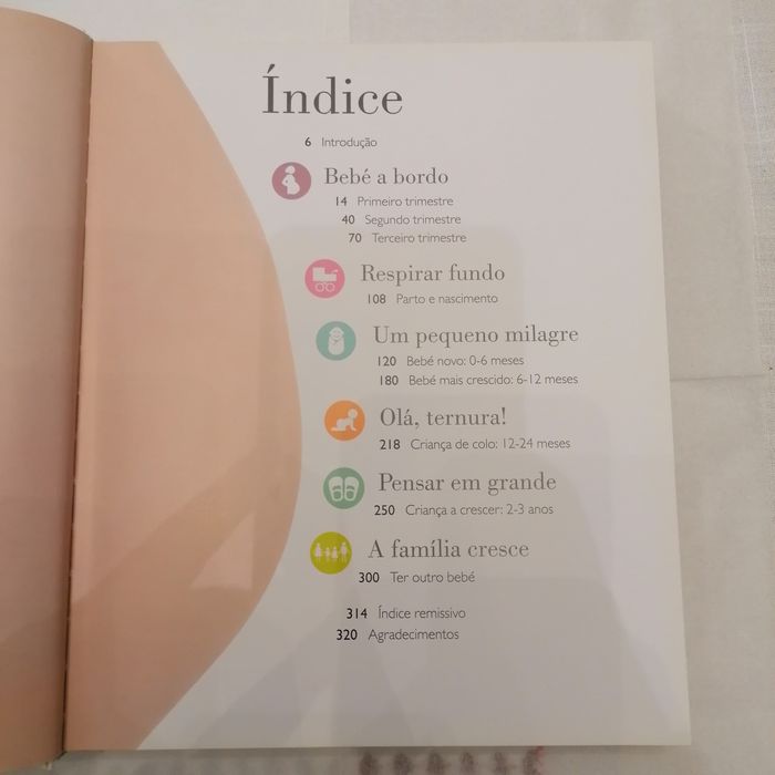 O livro da gravidez e do bebé
