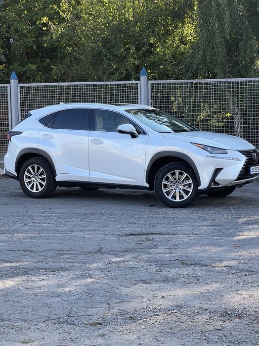 LEXUS NX  hibrid 2019 р.в.
