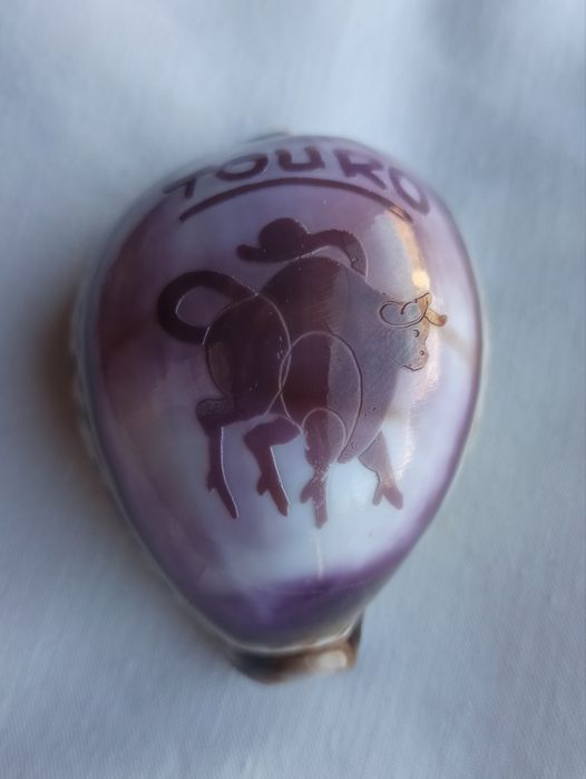 Concha com signo "Touro" / seashell with zodiac sign "Taurus"457280832227911681