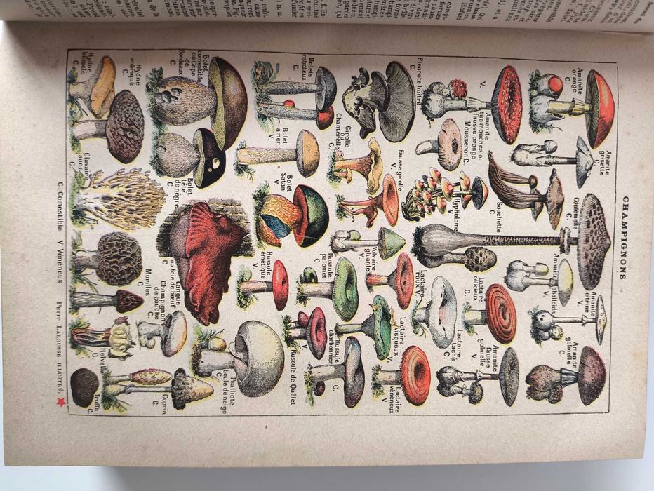 Nouveau Petit Larousse Illustre