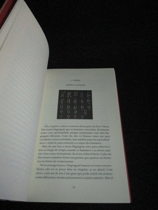 Livro Quem nos Faz como Somos J. L. Pio Abreu