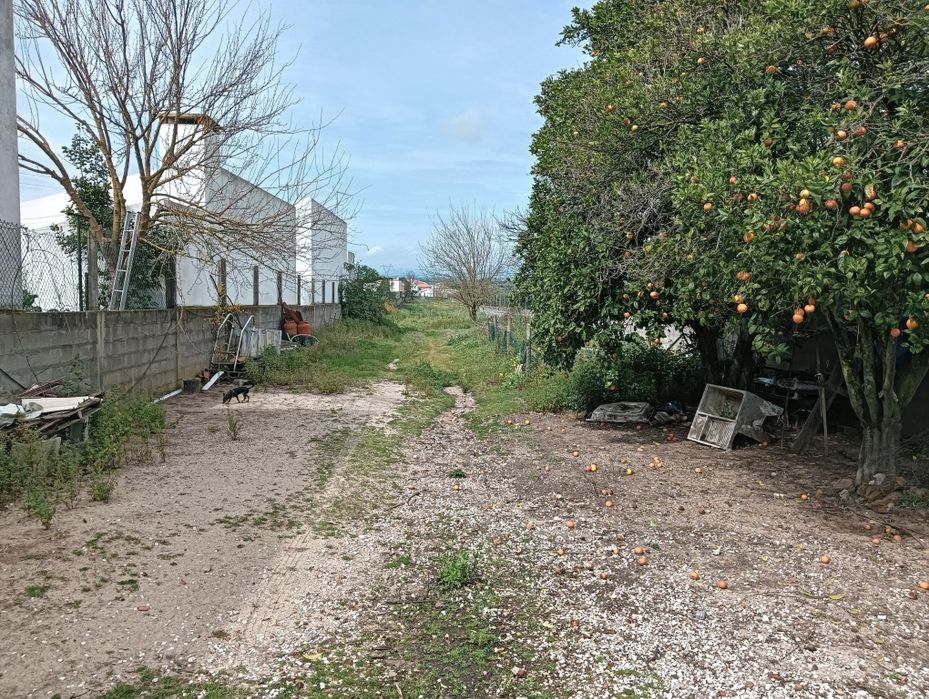 Moradia T3 à venda em Carregueira, Chamusca — foto 7