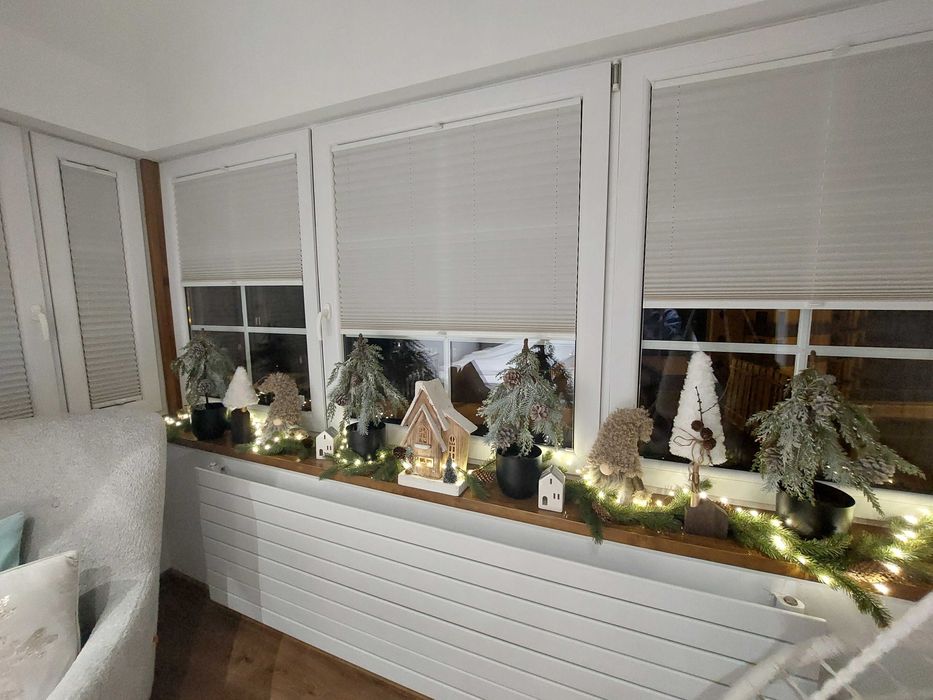 Willa KAMELIA - apartamenty