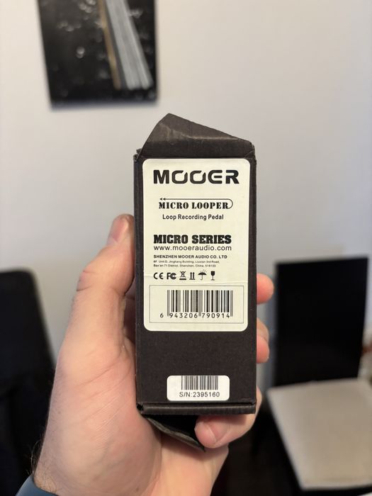 Micro looper mooer
