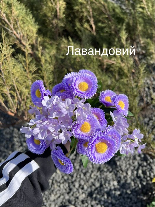 Квіти для декору маргаритки естетичний декор