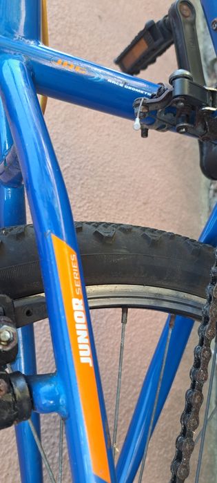 Bicicleta "Berg"