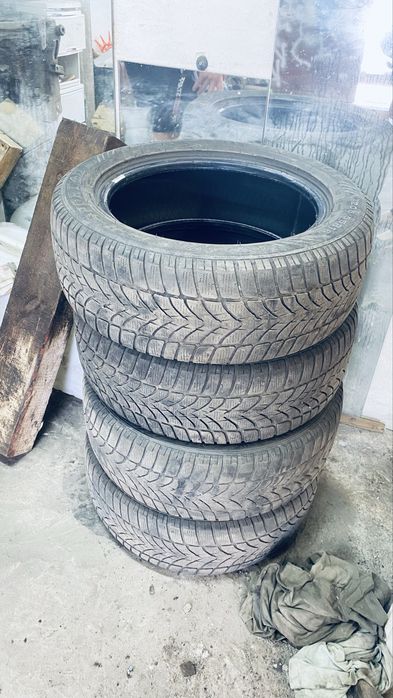 Dunlop 205/55/16 зима