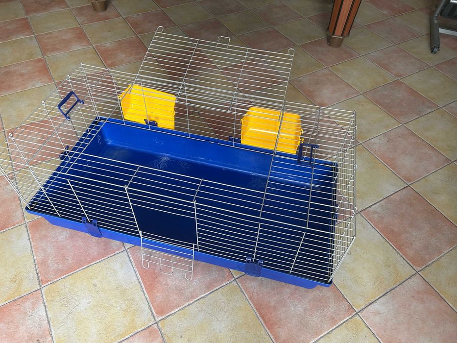 Gaiola Pocos da Índia/Coelhos