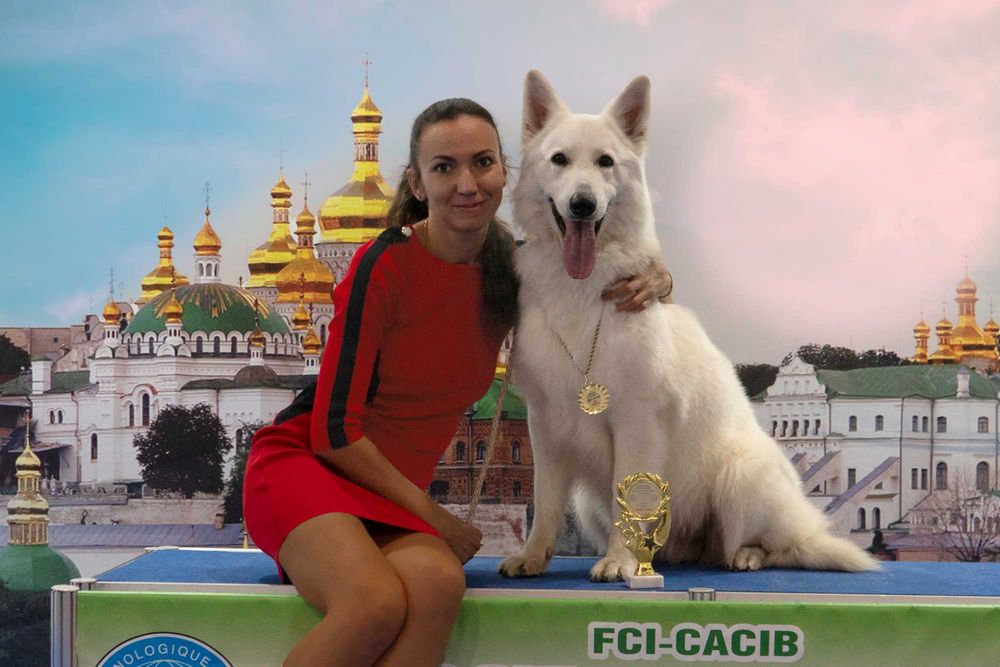 Біла швейцарська вівчарка з ген.тестами цуценята БШВ БШО докумен КСУ/F