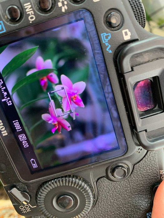 Canon 5D mark 2, + Canon EF 50mm f 1.4 в ідеальному стані