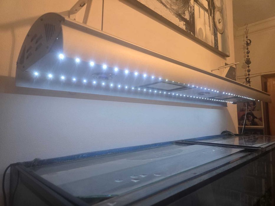 Aquário (Aceito propostas)