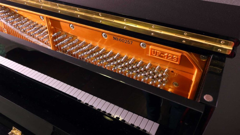 Piano Vertical Carl Reutner UP 123 USADO – Pague em 3x s/ juros Klarna