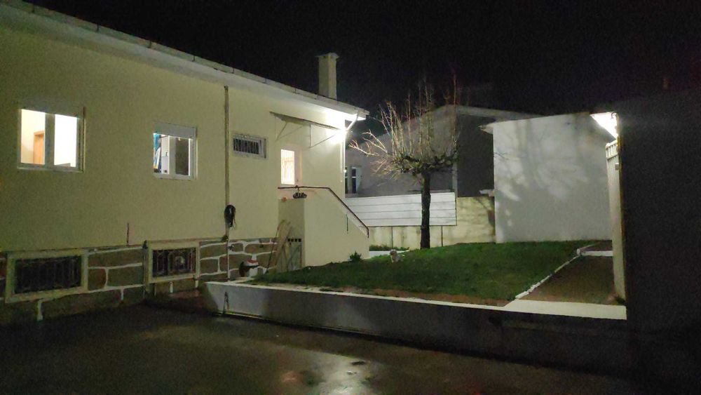 Creche/daycare canina