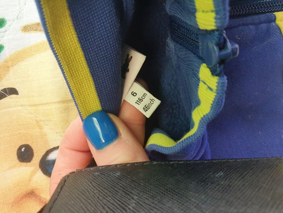 Bluza lacoste okazja oryginał