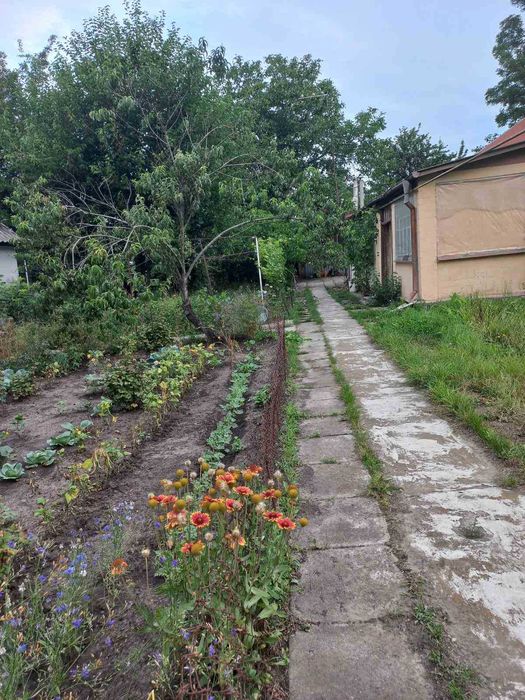 продам свой  дом  для большой семьи в центре села Лысковка