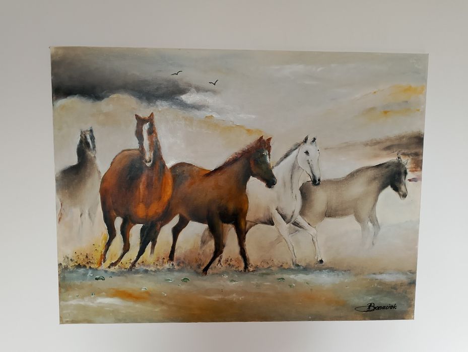 Obraz 80/60 cm konie