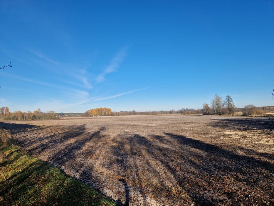 Działka rolna Gołąbek gm Skórzec ponad 7h w jednym kawałku - Widok 2