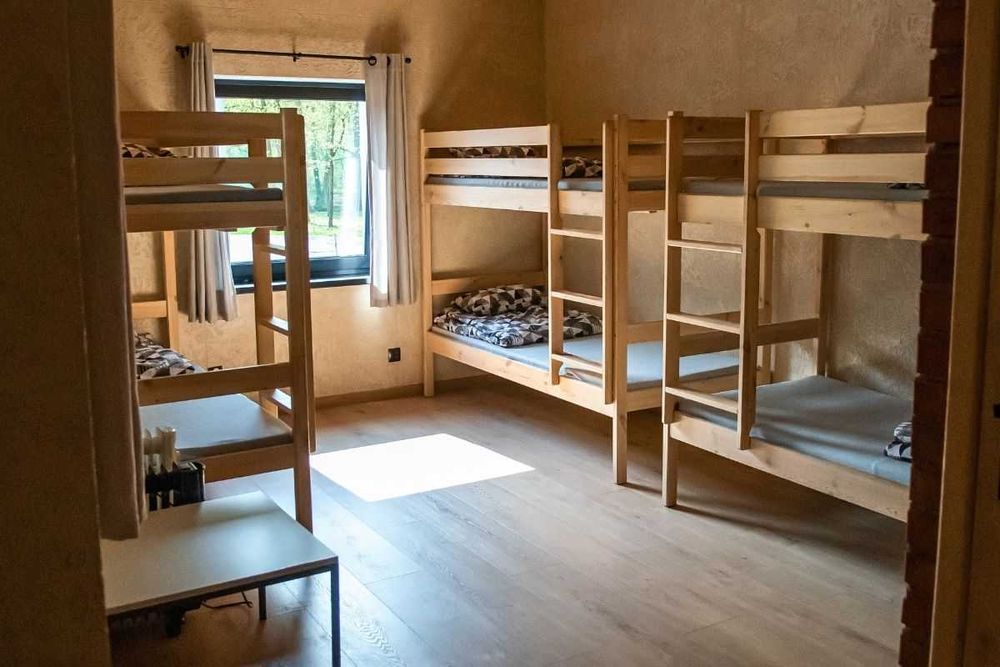 Domki w lesie nad jeziorem | Nocleg | Mrówki | Aktywna majówka 2026