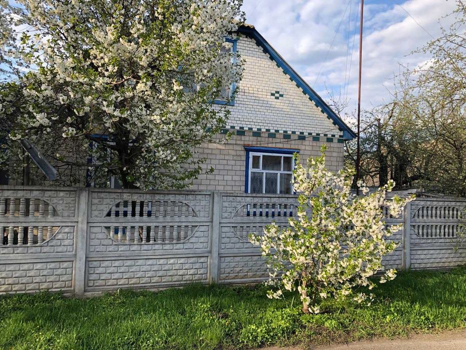 Будинок у м. Лохвиця 80 кв.м (земельна ділянка – 0,06 га)