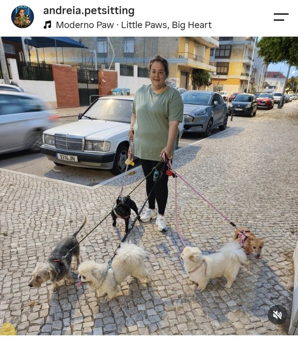 Petsitting, estadia familiar.