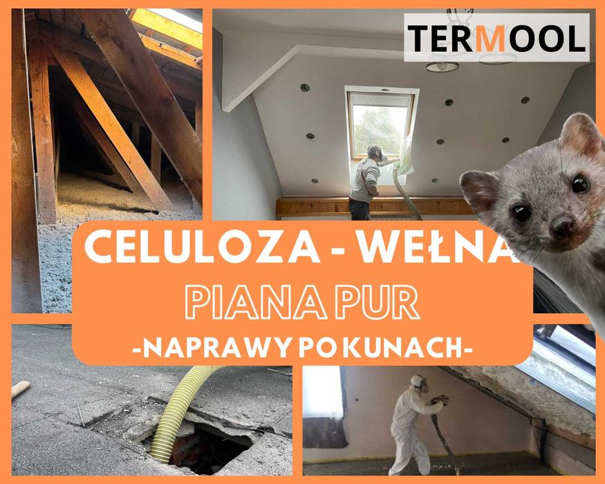 Ocieplanie Wełna, Piana, Docieplenie Celuloza, Naprawa szkód po kunie
