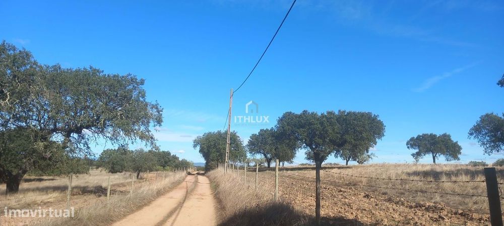 Terreno rústico com aproximadamente 70.000 m2  (7 hectares) para venda