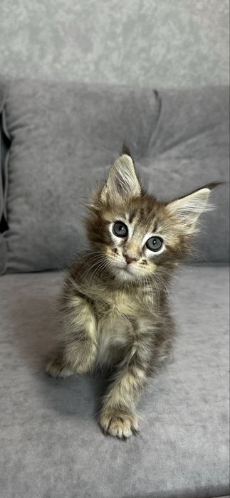 Дівчинка в блакитному мармуровому забарвлені