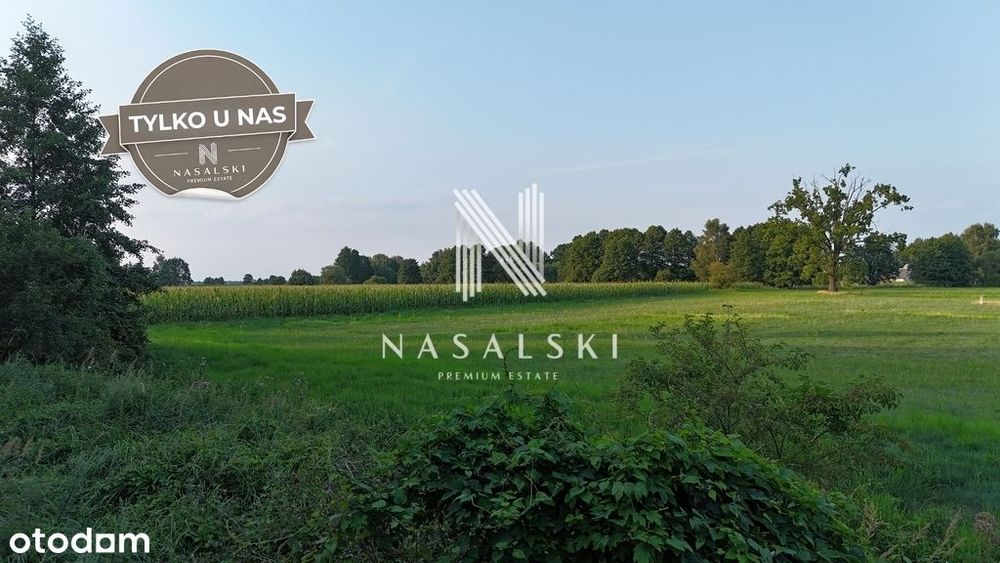 Nowe Dąbie działka 1106 m² z warunkami zabudowy - Widok 3